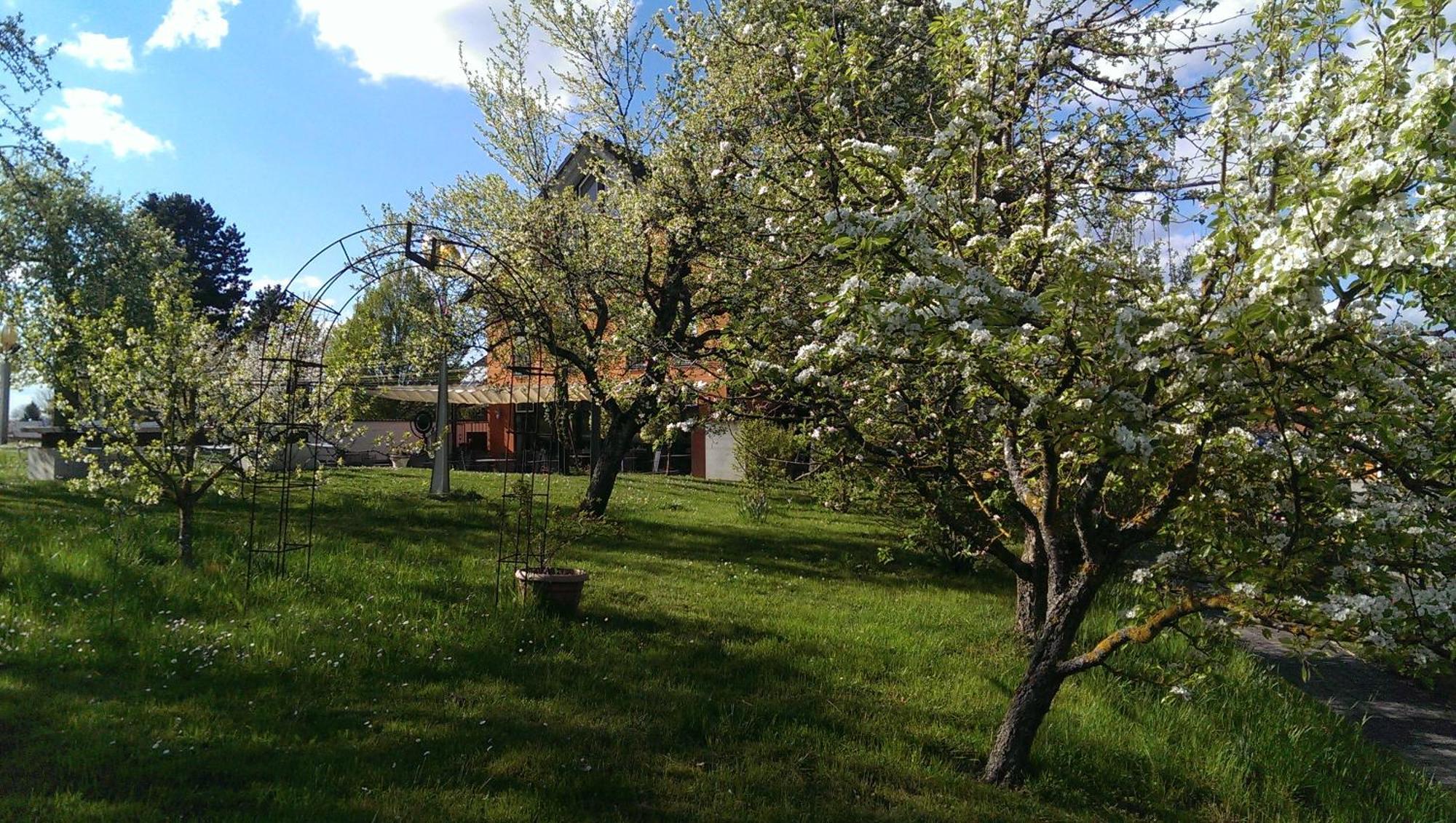 Hotel Zapa Singen Exterior photo